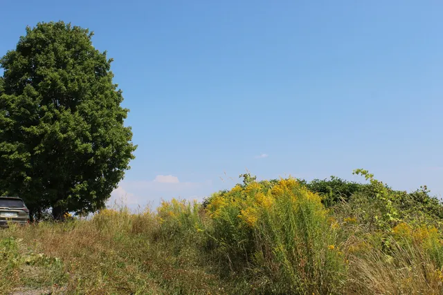 $79,000 | 1297 U.S. Rte 1, Houlton, ME 04730