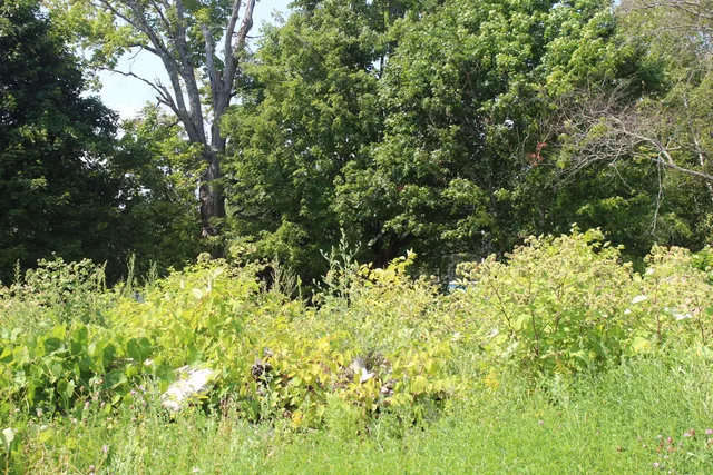 $79,000 | 1297 U.S. Rte 1, Houlton, ME 04730