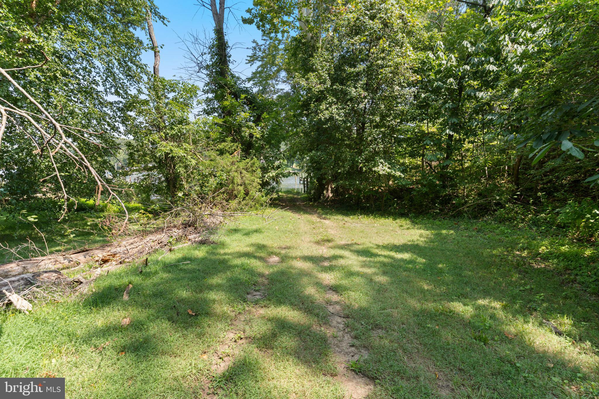 44742 Three Coves Road Hollywood, MD 20636 - Photo 76 of 89 Private path