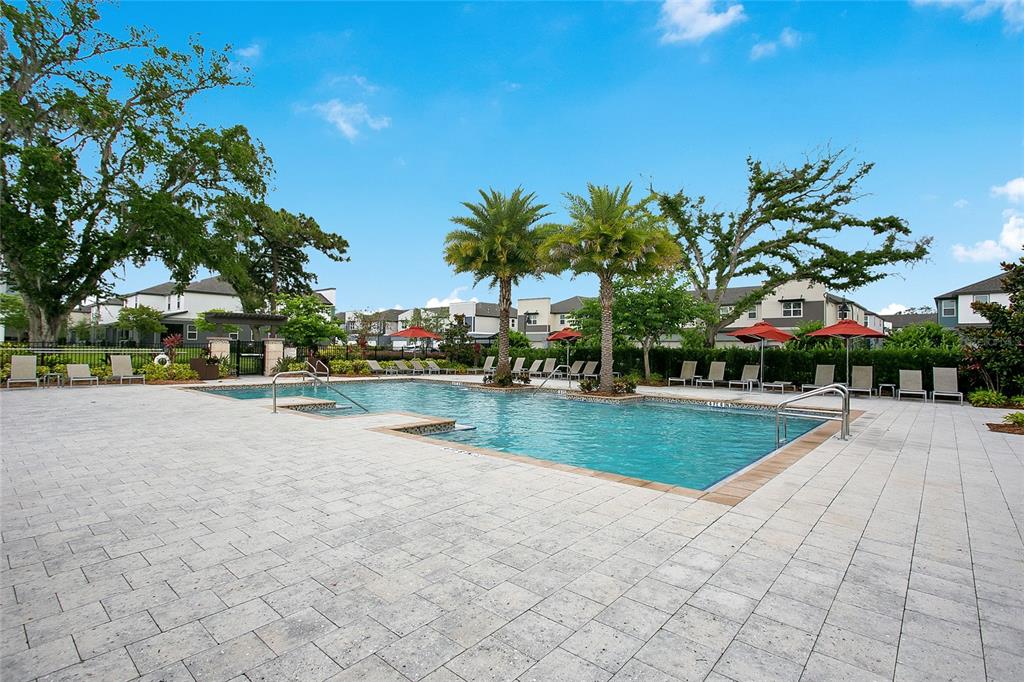 2460 Firstlight Way Winter Park, FL 32792 - Photo 20 of 24 a view of swimming pool with outdoor seating and trees in the background