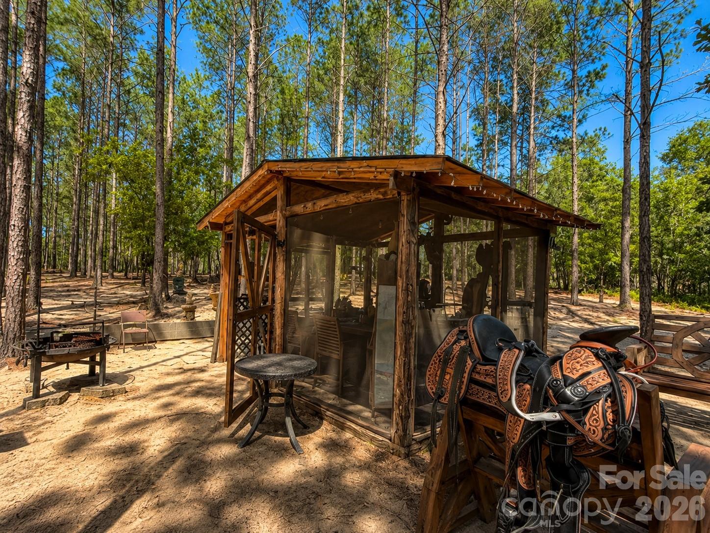 3203 Landfill Road Mount Croghan, SC 29727 - Photo 41 of 48 Gallery Image 41