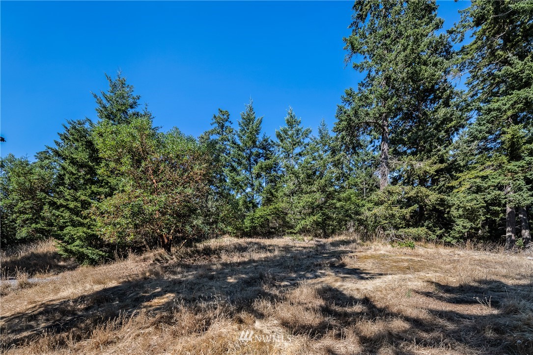0 Quail Crossing Road Friday Harbor, WA 98250 - Photo 2 of 16 Gallery Image 2