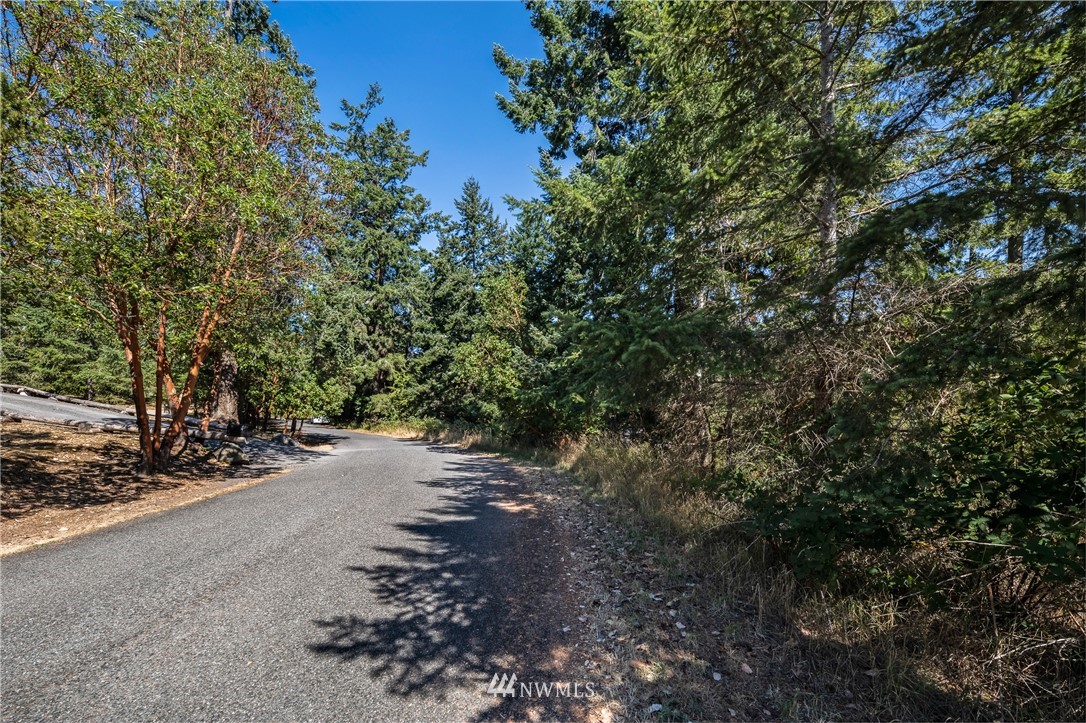 0 Quail Crossing Road Friday Harbor, WA 98250 - Photo 11 of 16 Gallery Image 11