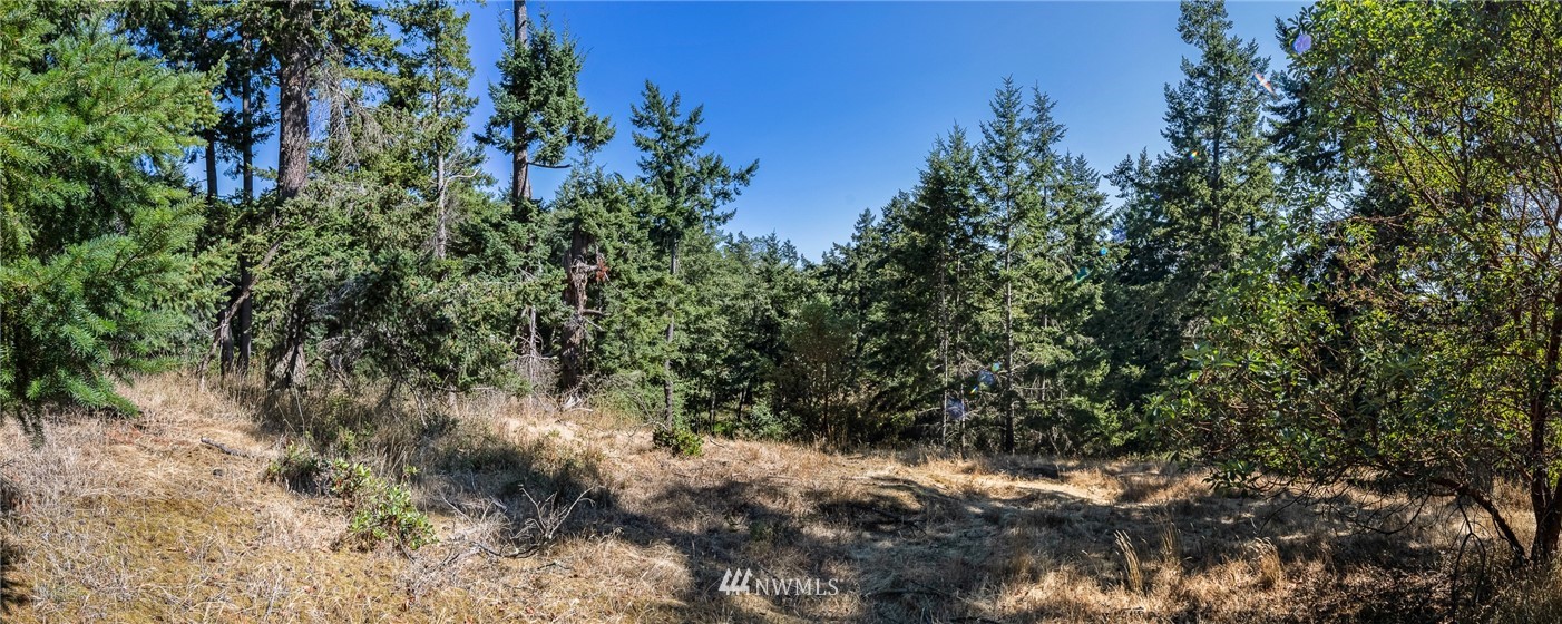 0 Quail Crossing Road Friday Harbor, WA 98250 - Photo 12 of 16 Gallery Image 12