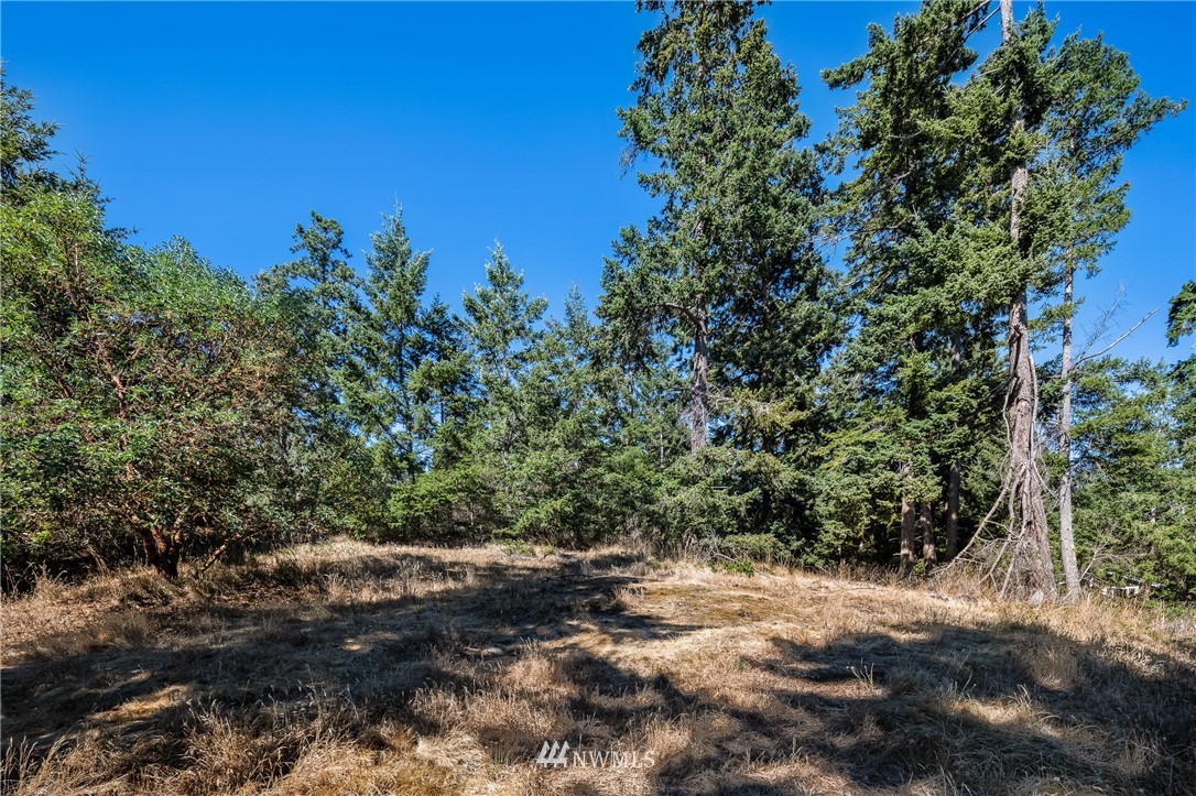 0 Quail Crossing Road Friday Harbor, WA 98250 - Photo 13 of 16 Gallery Image 13