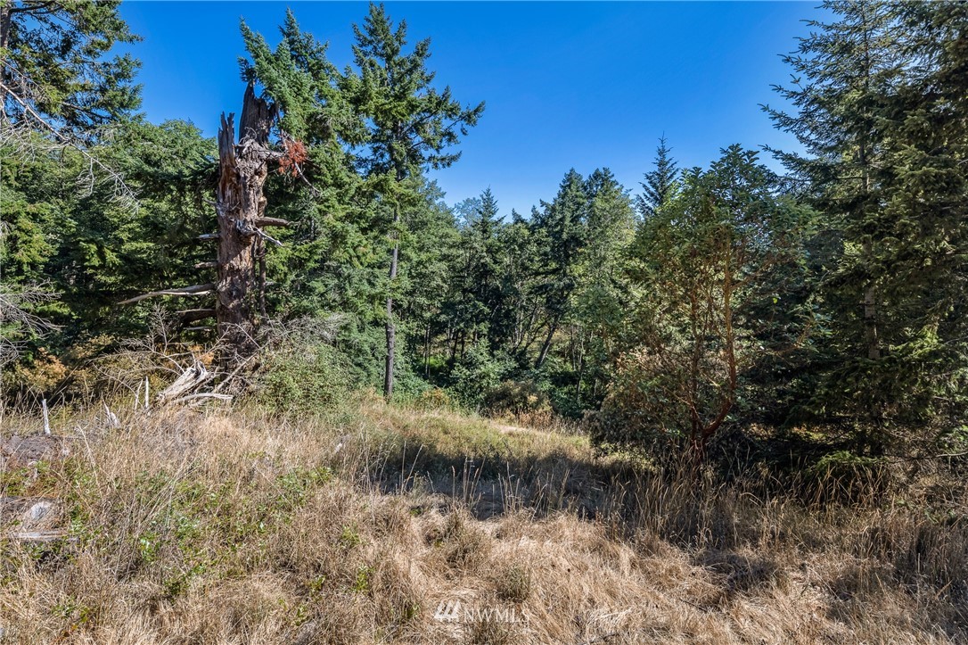 0 Quail Crossing Road Friday Harbor, WA 98250 - Photo 14 of 16 Gallery Image 14