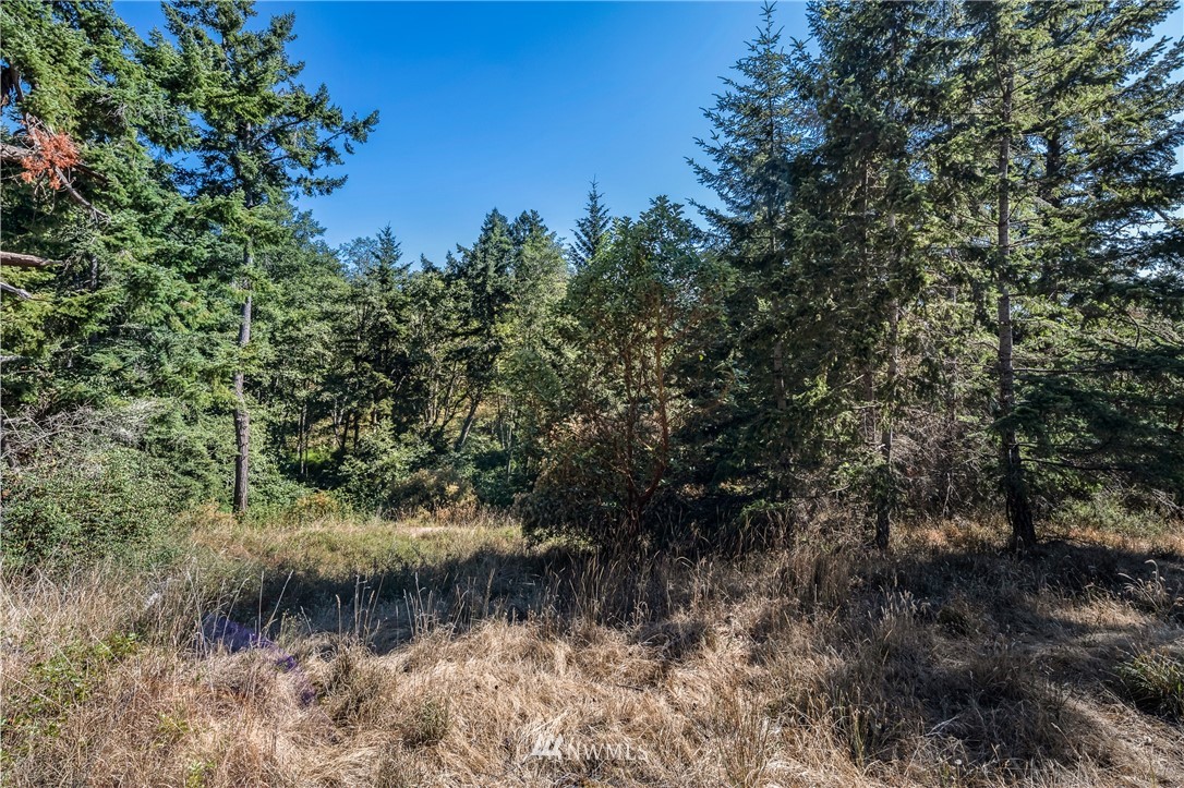 0 Quail Crossing Road Friday Harbor, WA 98250 - Photo 15 of 16 Gallery Image 15