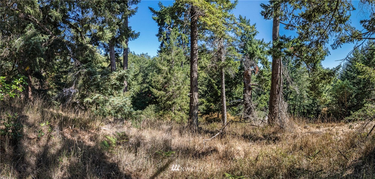 0 Quail Crossing Road Friday Harbor, WA 98250 - Photo 16 of 16 Gallery Image 16