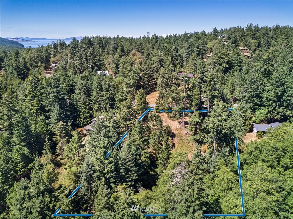 0 Quail Crossing Road Friday Harbor, WA 98250 - Photo 7 of 16 Gallery Image 7