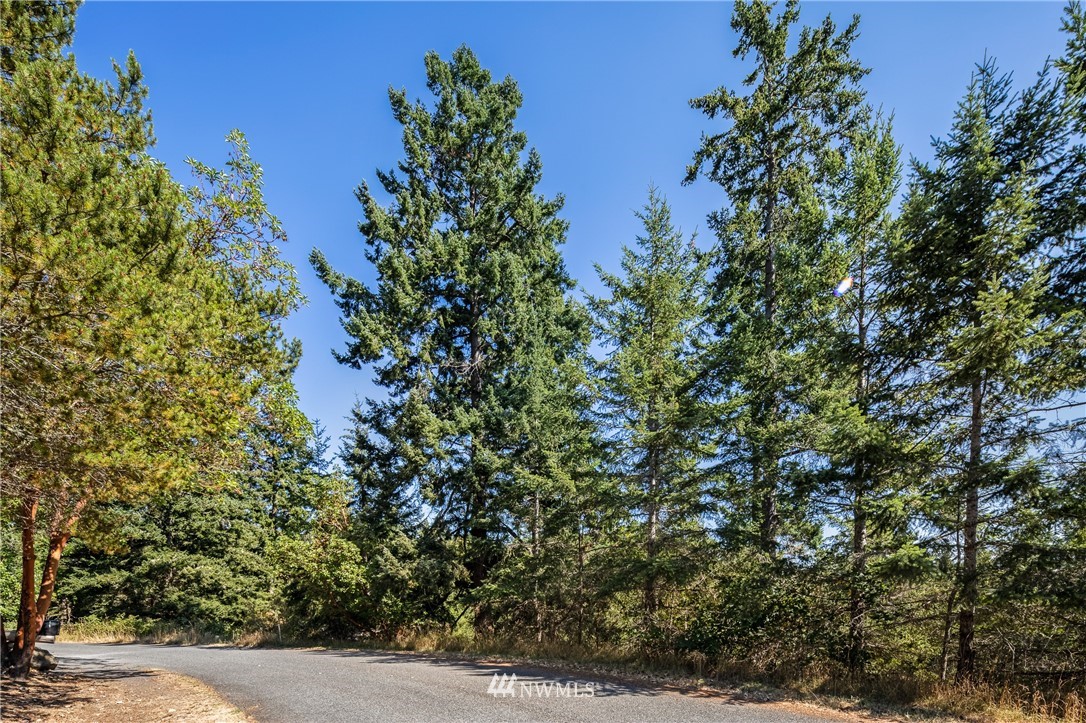 0 Quail Crossing Road Friday Harbor, WA 98250 - Photo 10 of 16 Gallery Image 10