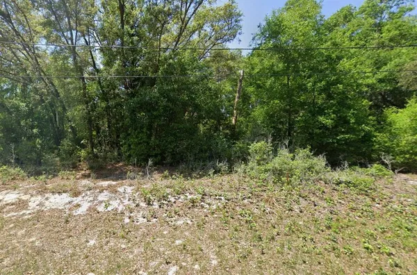 $24,500 | Guava Pass Lane, Ocklawaha, FL 32179