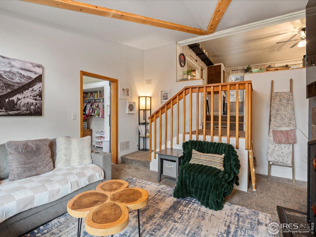 4786 Forest Hill Road Evergreen, CO 80439 - Photo 15 of 34 Gallery Image 15