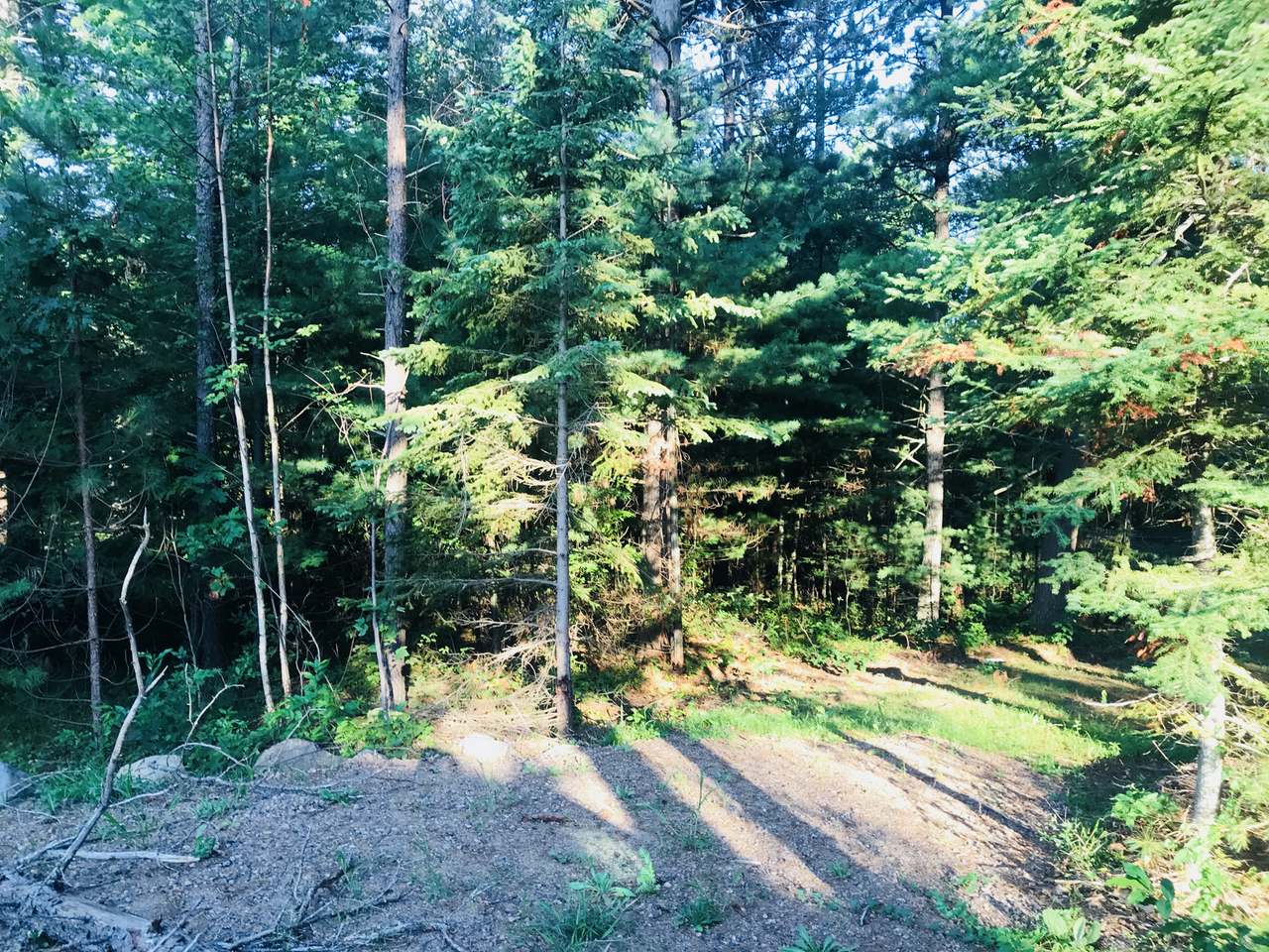 12022 Deer Lake Road Tomahawk, WI 54487 - Photo 17 of 20 Gallery Image 17
