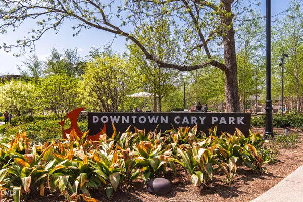 a view of a bunch of plants and trees