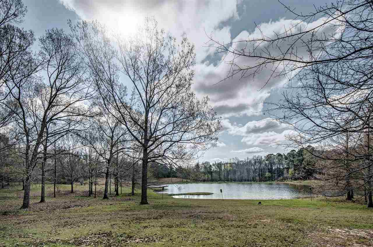 4757 Neil Collins Road Raymond, MS 39154 - Photo 5 of 41 Photo 5
