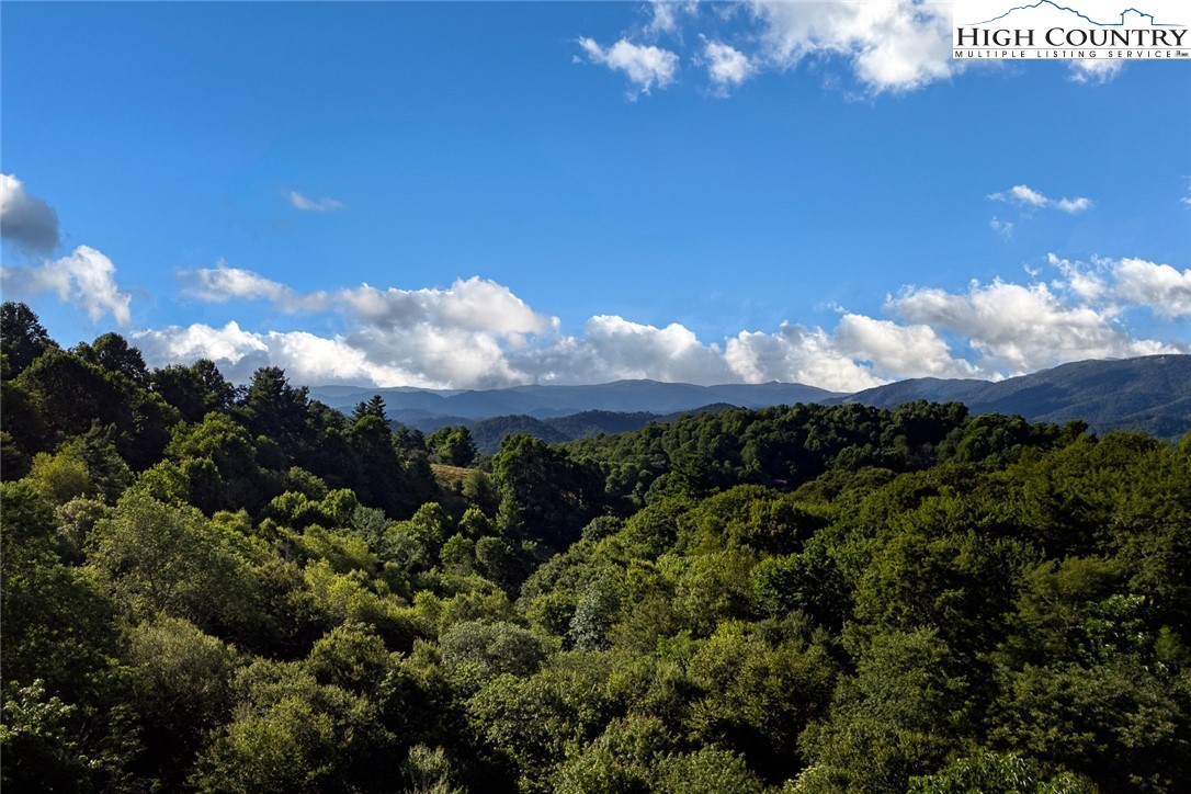 220 Hialeah Lane Boone, NC 28607 - Photo 14 of 49