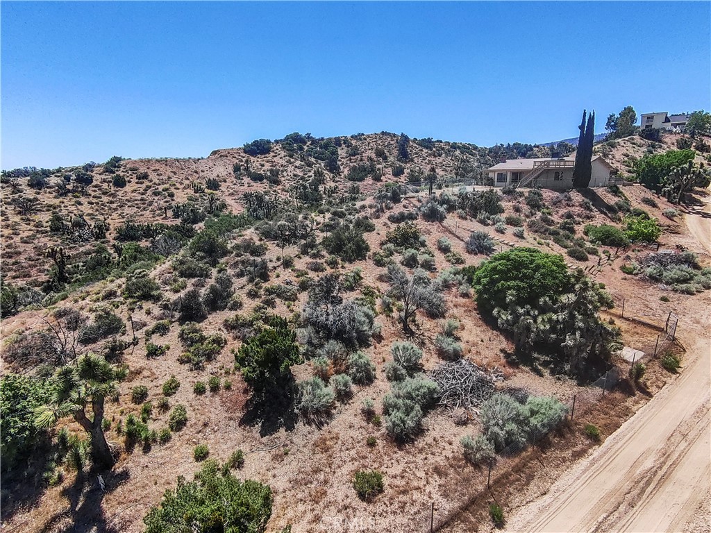 8451 Zohra Canyon Road Pinon Hills, CA 92372 - Photo 30 of 46