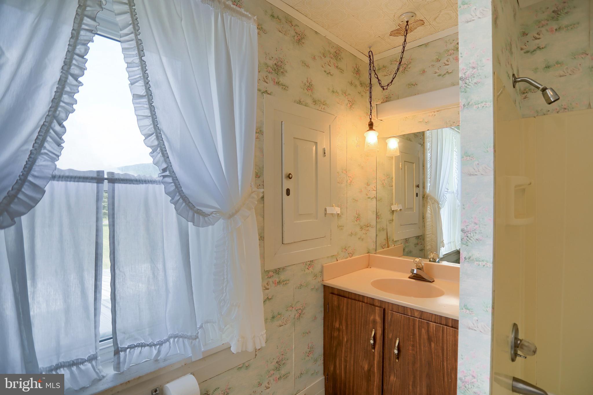 118 Bunker Hill Road Belleville, PA 17004 - Photo 35 of 90 a bathroom with a sink a mirror and shower