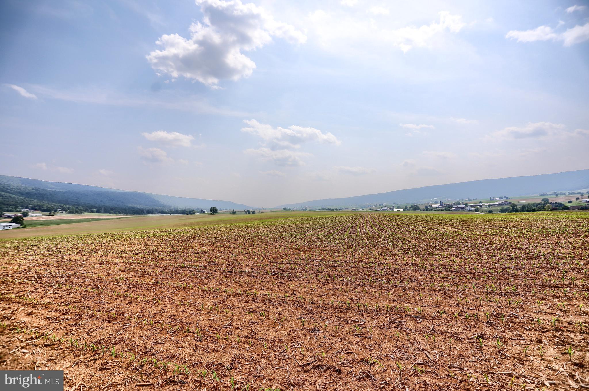 118 Bunker Hill Road Belleville, PA 17004 - Photo 75 of 90