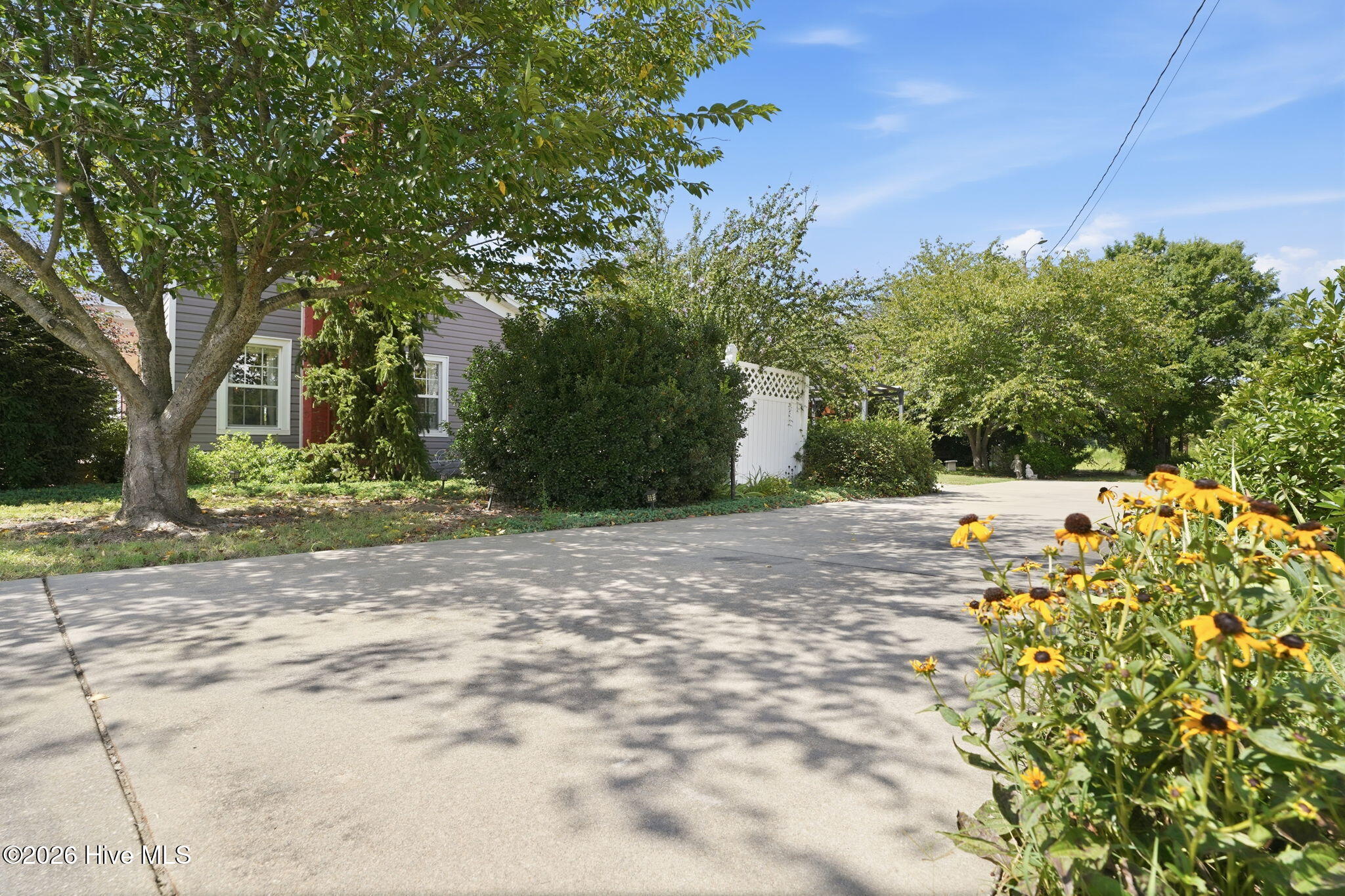 7220 Neal Road Lucama, NC 27851 - Photo 48 of 71 Gallery Image 48