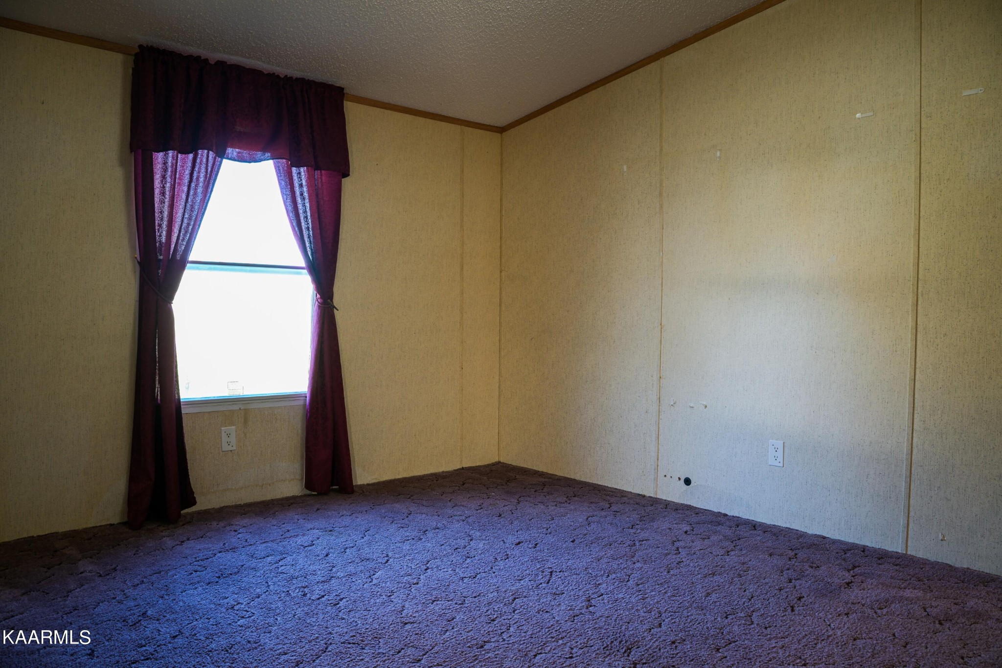 1315 Woods Ridge Road Dandridge, TN 37725 - Photo 39 of 45 Gallery Image 39
