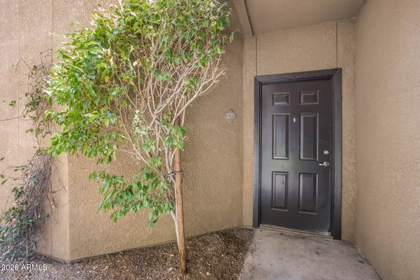 a view of a entryway with flower pots