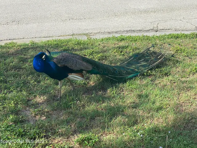 a garden view with a sitting space