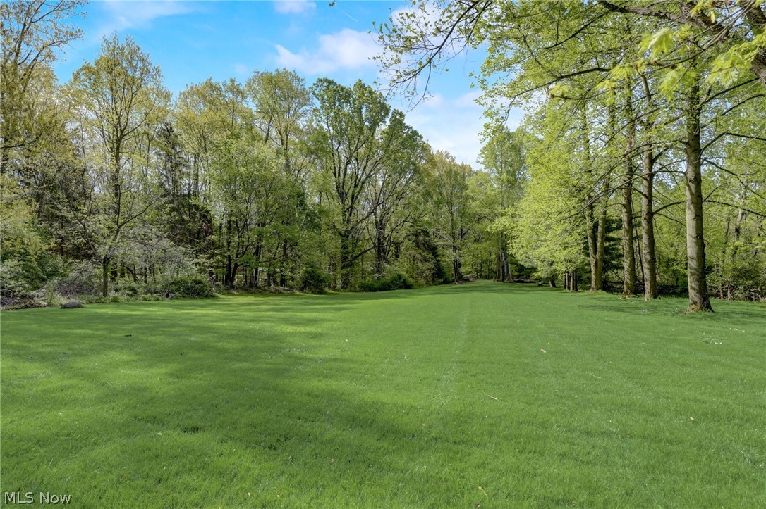3385 West Western Reserve Road Canfield, OH 44406 - Photo 26 of 29 1-acre yard