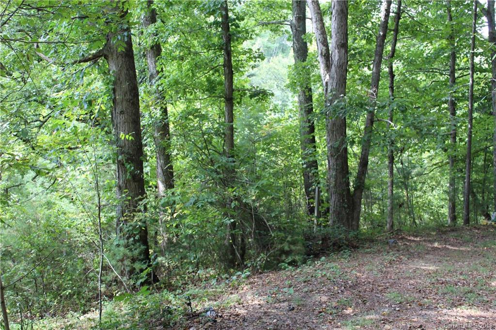 999 Alexander Road Leicester, NC 28748 - Photo 5 of 10 Gallery Image 5