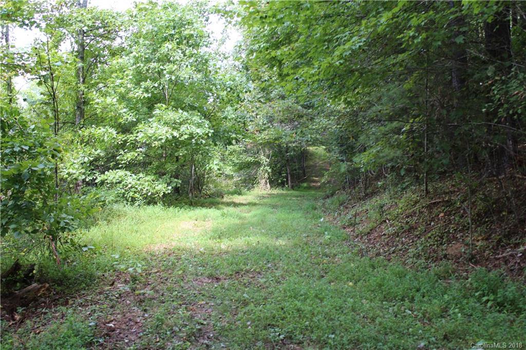 999 Alexander Road Leicester, NC 28748 - Photo 7 of 10 Gallery Image 7