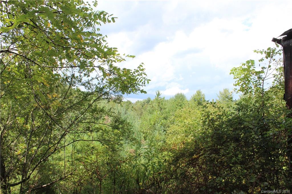 999 Alexander Road Leicester, NC 28748 - Photo 10 of 10 Gallery Image 10