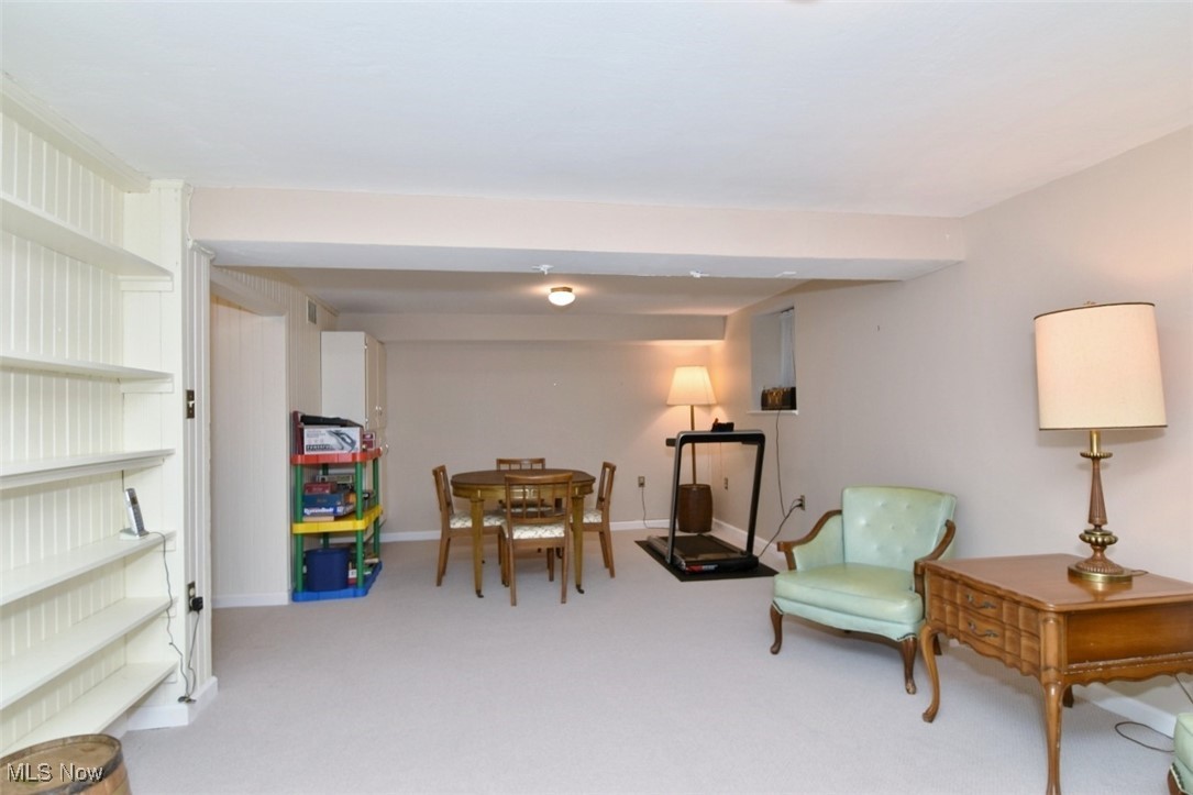 2315 Lalemant Road Cleveland, OH 44118 - Photo 21 of 23 Lower level
