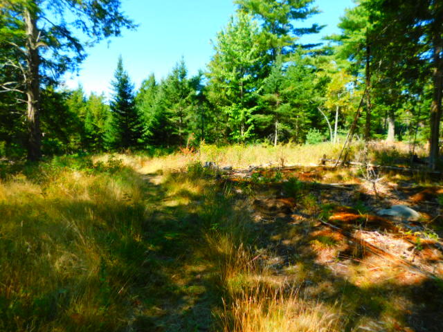 471 Copeland Hill Road Holden, ME 04429 - Photo 9 of 12 DSCN8989