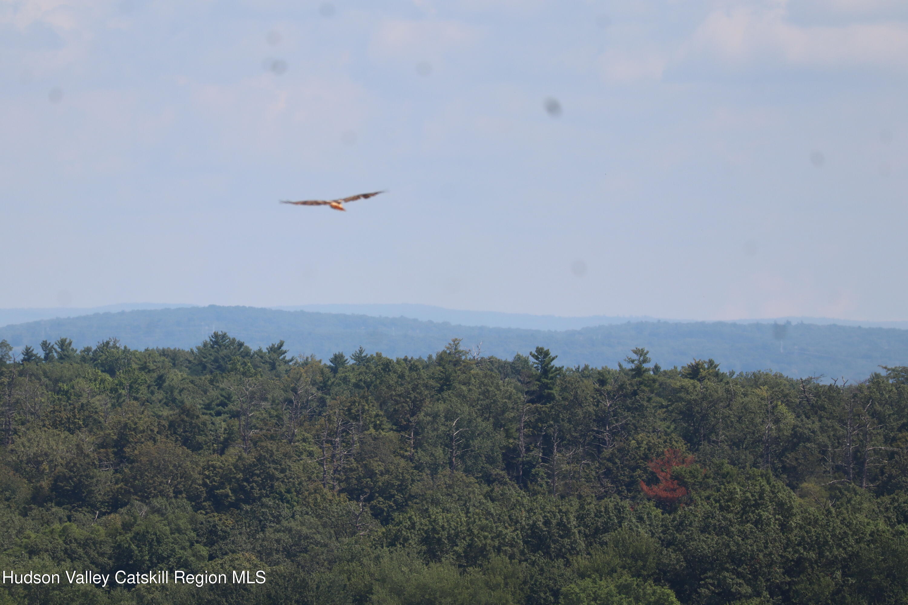 2050 Sawkill Ruby Road Kingston, NY 12401 - Photo 12 of 38 a view of a city