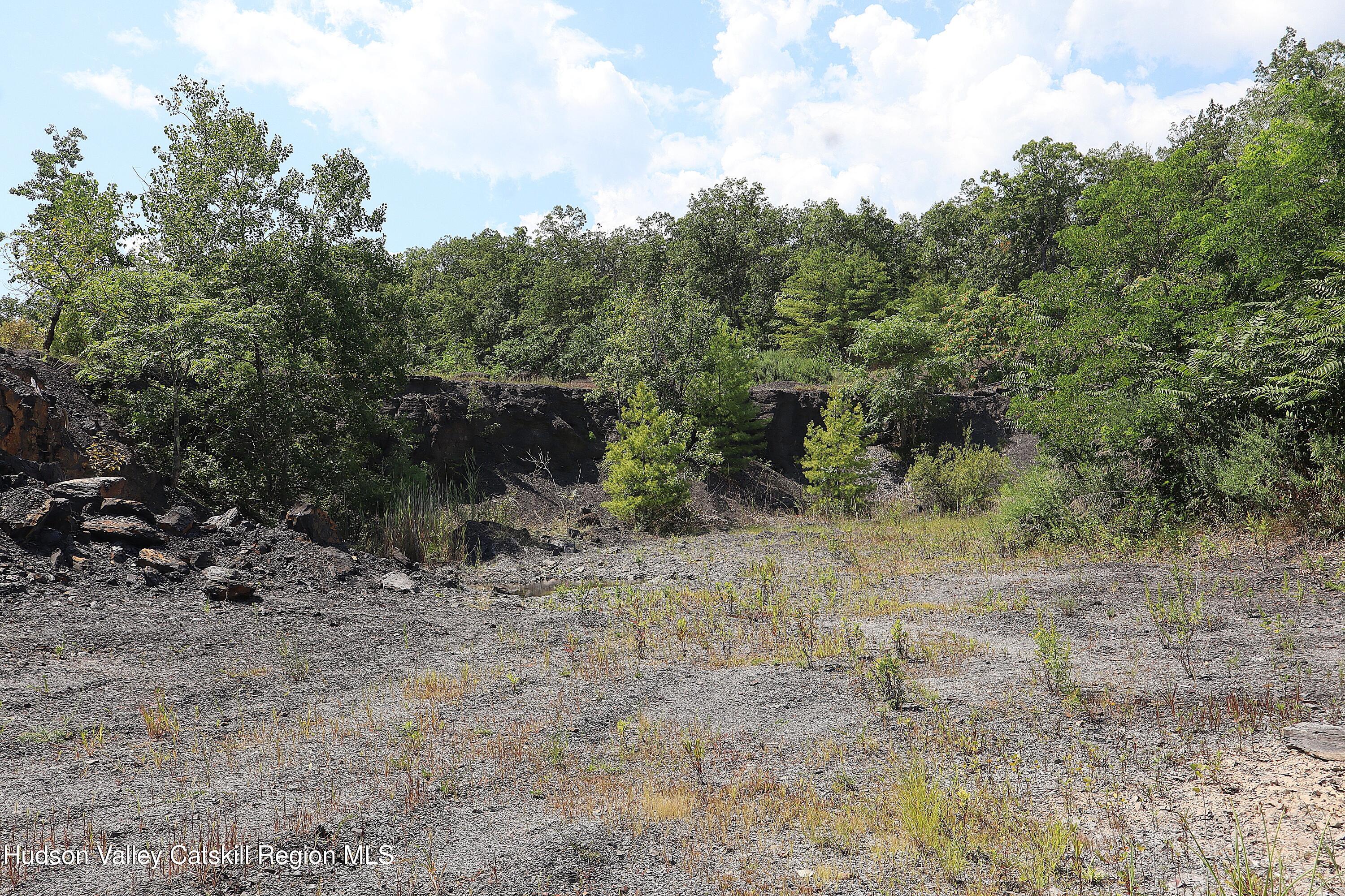 2050 Sawkill Ruby Road Kingston, NY 12401 - Photo 13 of 38 a view of a dry yard with trees