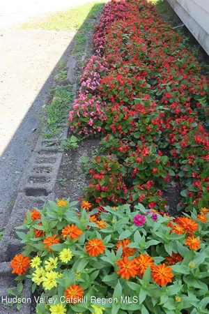 a picture of flowers