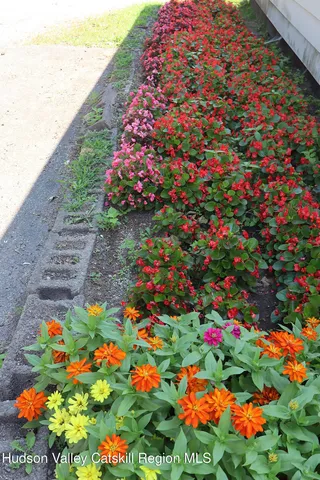 a picture of flowers