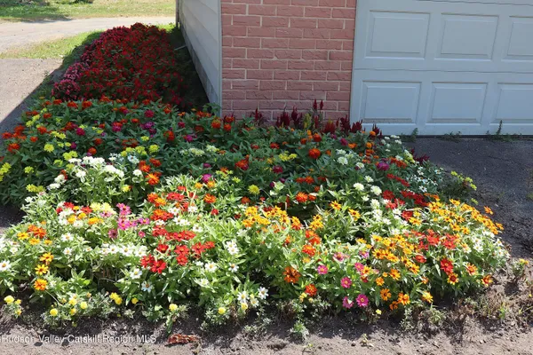 a picture of flowers