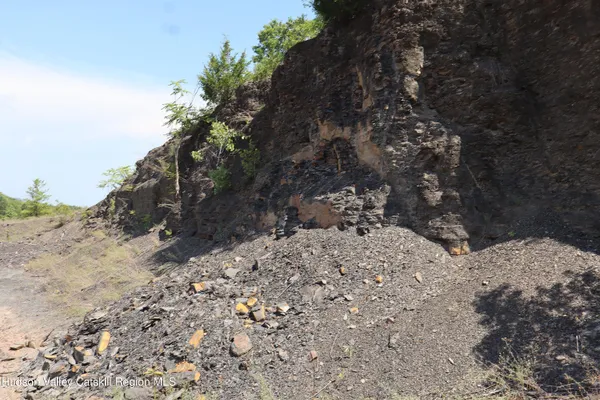 a view of a dry yard with trees