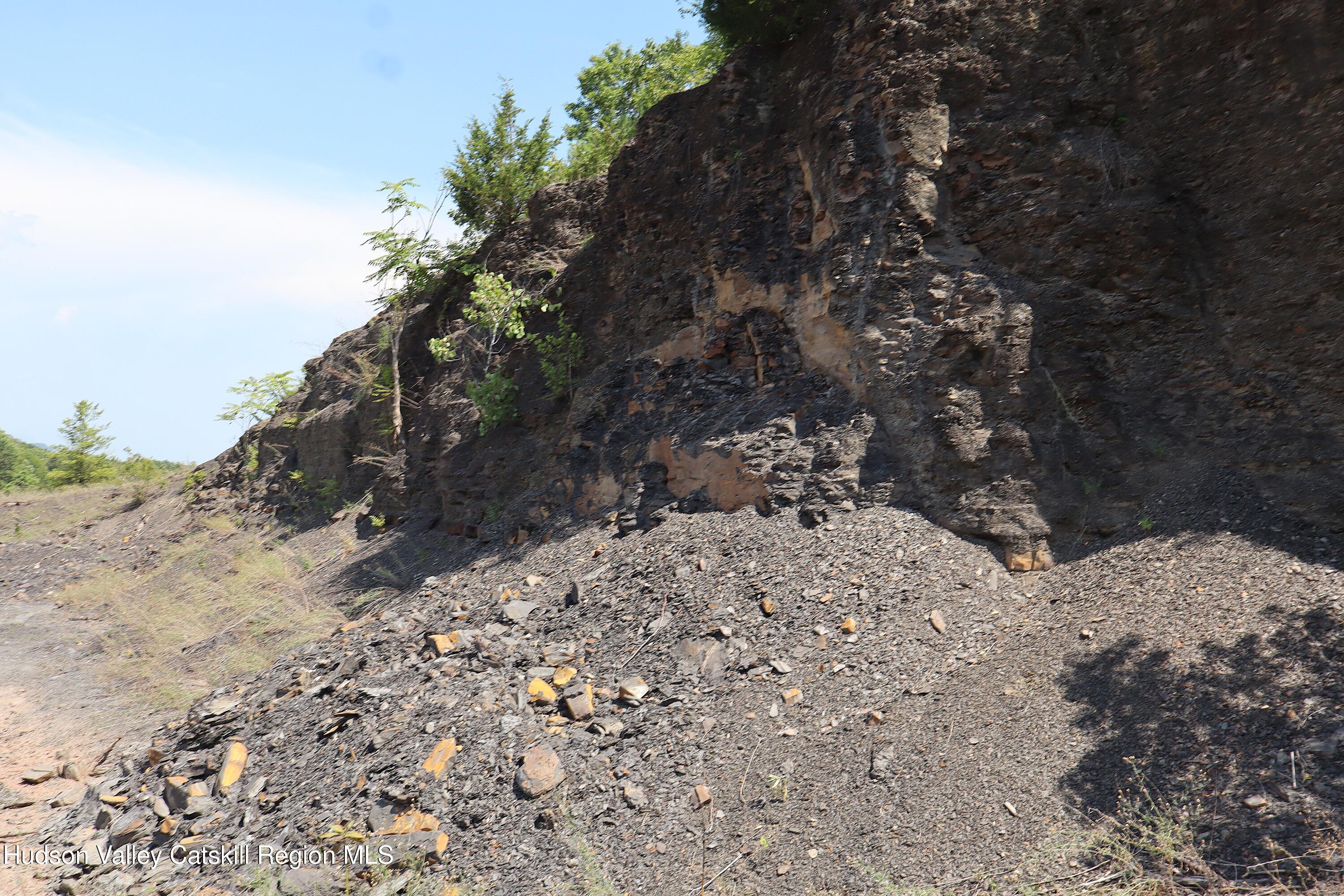 2050 Sawkill Ruby Road Kingston, NY 12401 - Photo 10 of 38 a view of a dry yard with trees