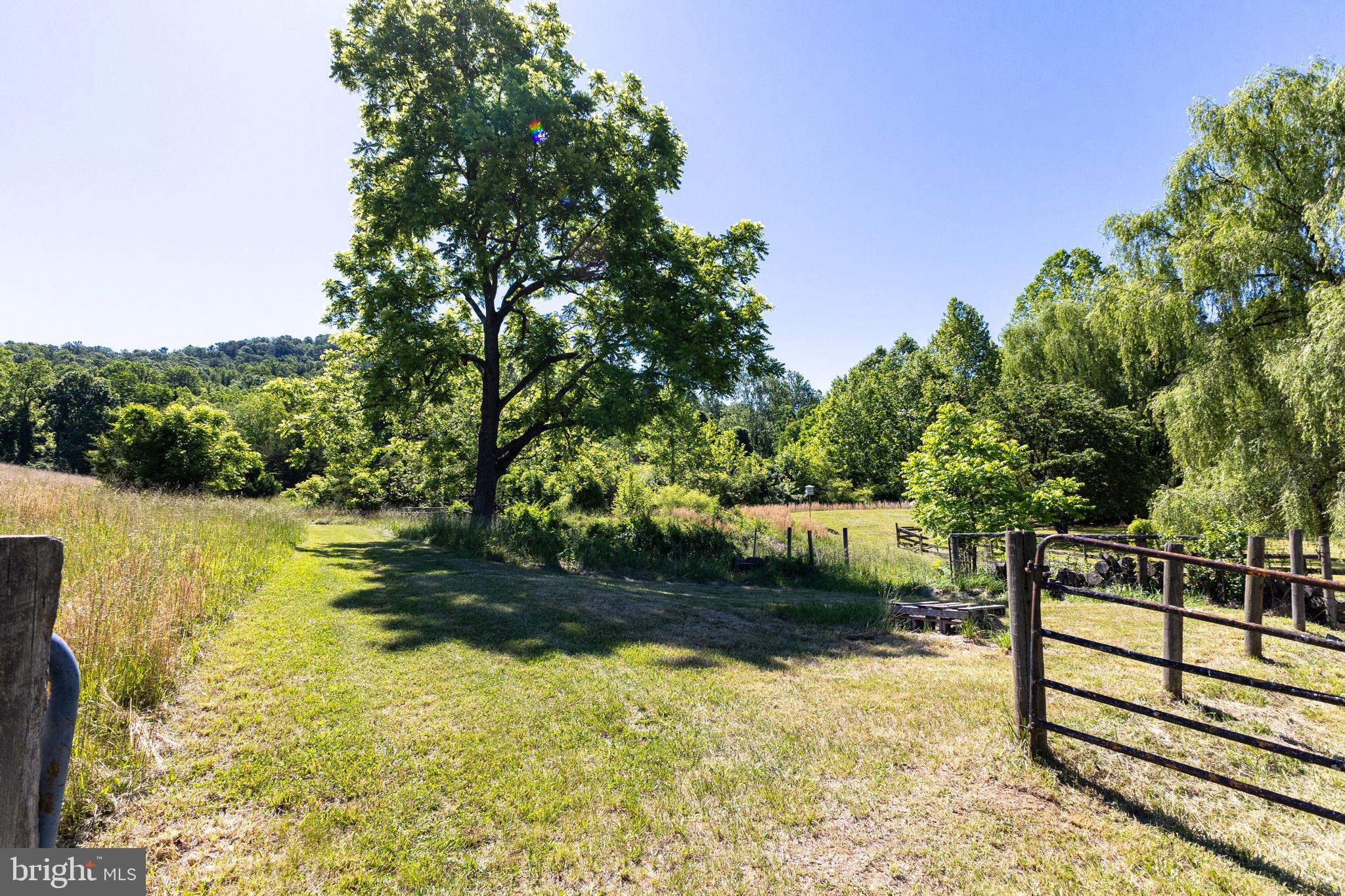 3259 Ida Road Luray, VA 22835 - Photo 120 of 139