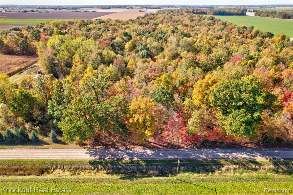 4000 South Reese Road Frankenmuth, MI 48734 - Photo 5 of 18