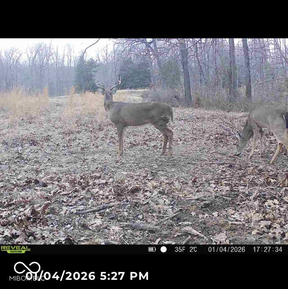 1 Beech Tree Road Nineveh, IN 46164 - Photo 14 of 29