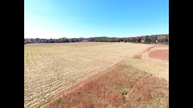 4 Northwest No Pone Road Georgetown, TN 37336 - Photo 6 of 6