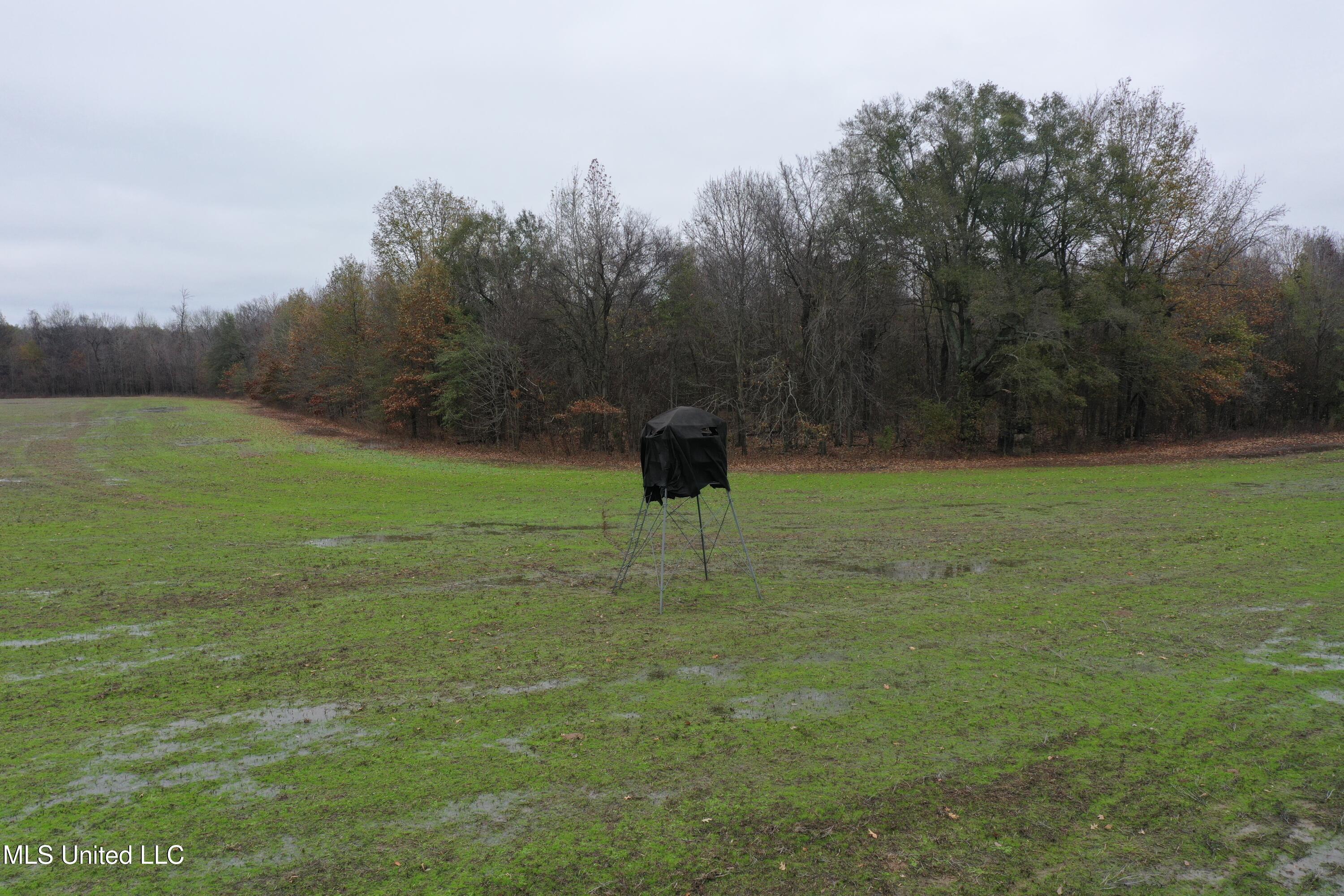 2000 Walnut Lake Road Dundee, MS 38626 - Photo 4 of 34 DJI_0699