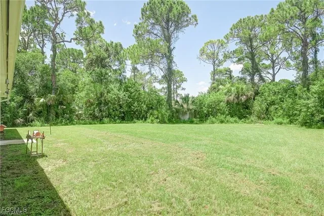 a view of a field with a tree