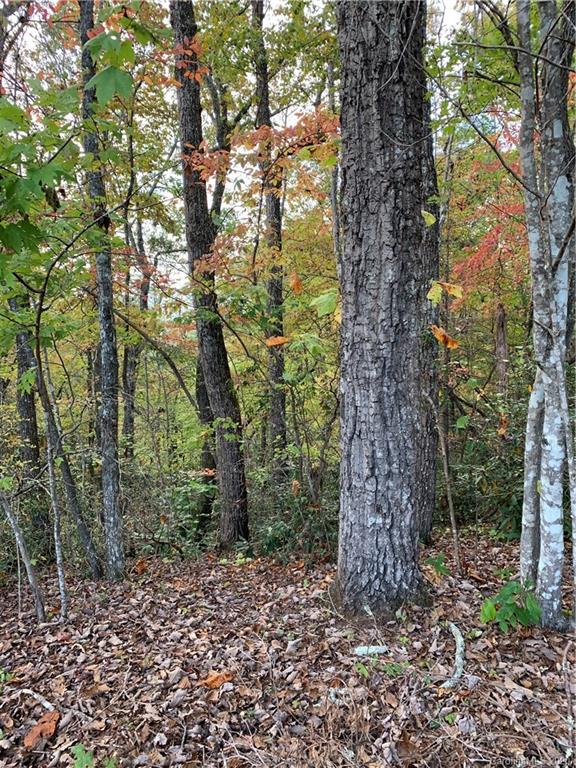 0 Golf Course Road, Unit 1 SECTION B Old Fort, NC 28762 - Photo 5 of 13 Gallery Image 5