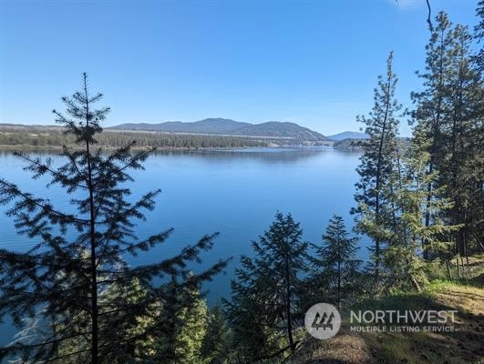 -xx West Long Lake Road Ford, WA 99013 - Photo 1 of 11 Gallery Image 1
