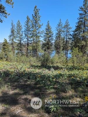 -xx West Long Lake Road Ford, WA 99013 - Photo 6 of 11 Gallery Image 6