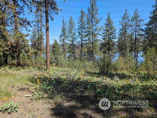 -xx West Long Lake Road Ford, WA 99013 - Photo 8 of 11 Gallery Image 8